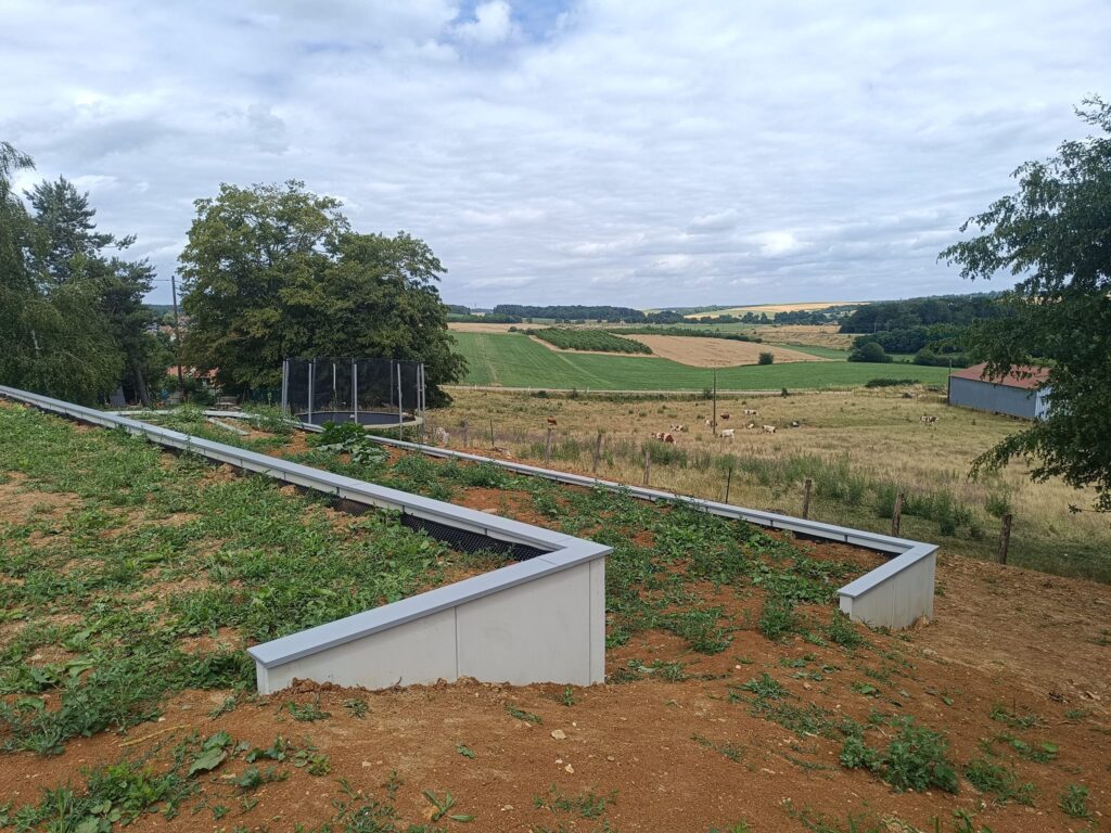 358047887_693714026105279_3436209164027101883_n